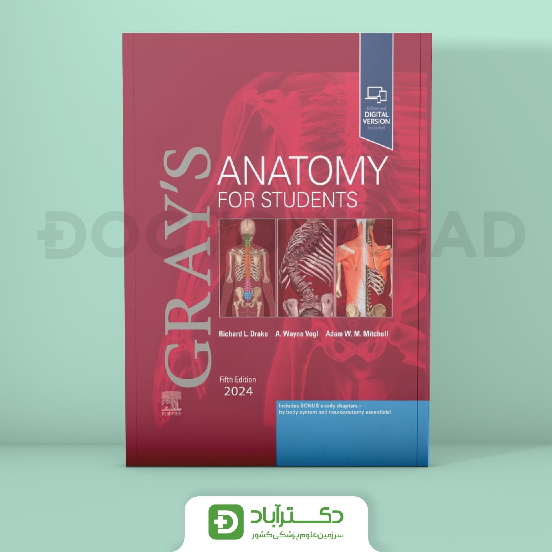 کتاب Gray’s Anatomy for Students 5th Edition 2024 (انتشارات آرتین طب )
